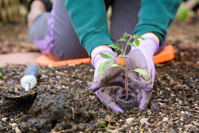 9 ways to go green this summer