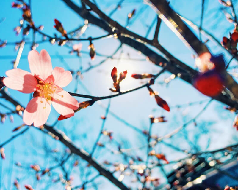 Anticipate the spring with energy efficiency best practices