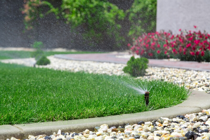 Conserving water in the summertime